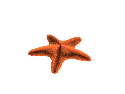 fuzzy starfish preview - Electrogeek