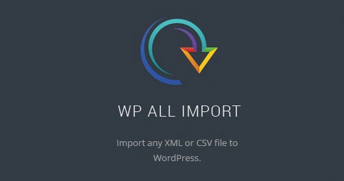 WP All Export User Add On Pro - Electrogeek