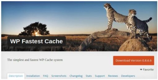 wp faster cache - Electrogeek